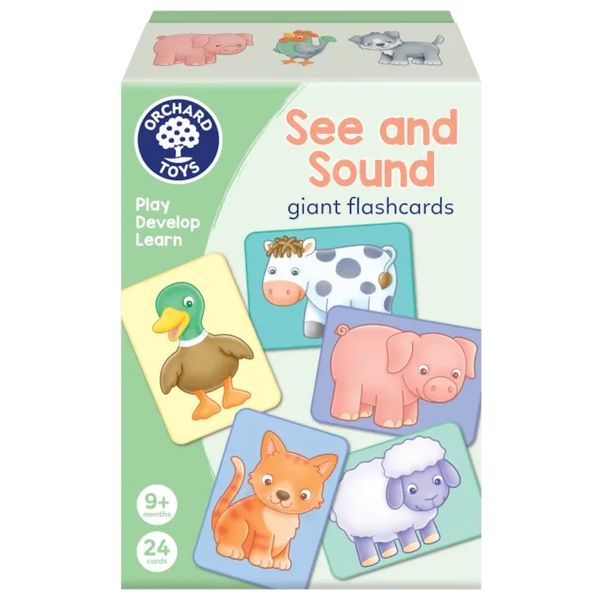 See and Sound- Giant flashcards