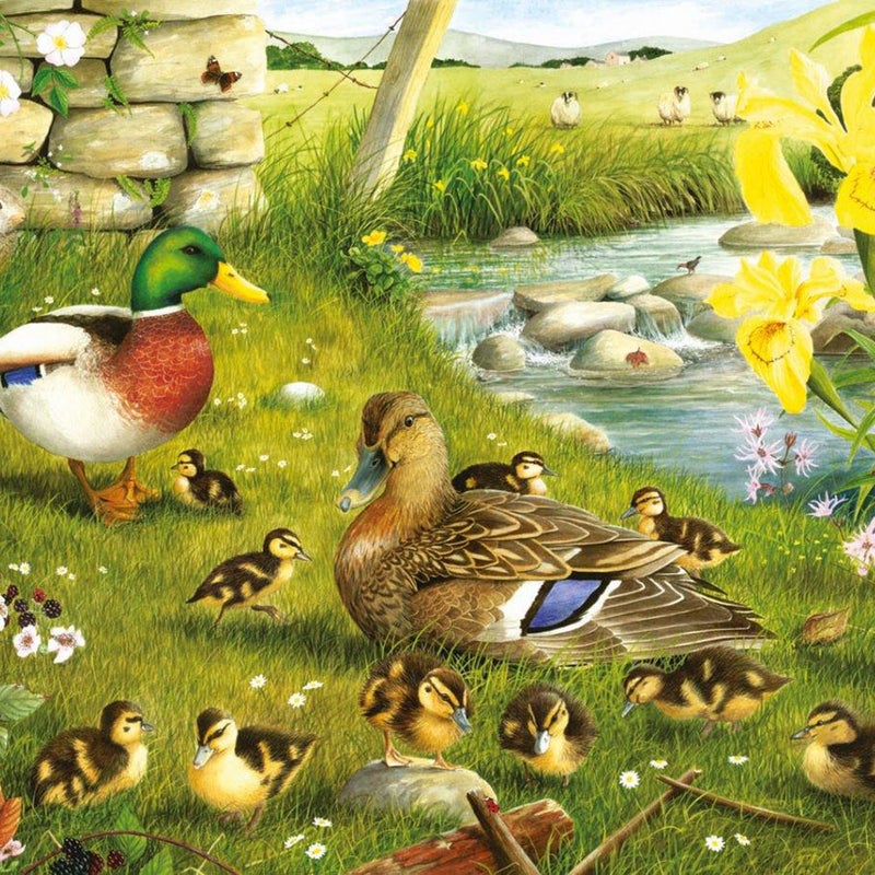 Ducks To Water BIG 500 Puzzle